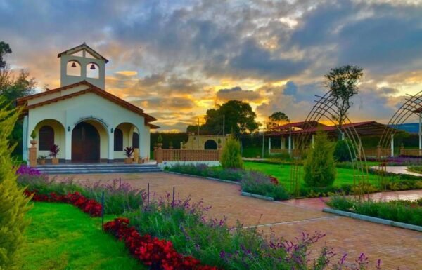 Categoría Galería clasificados Eventoco