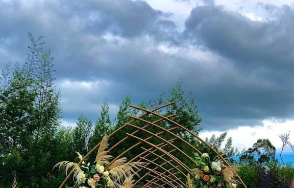 Categoría Galería clasificados Eventoco