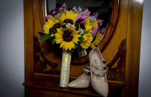 Hacienda El Trebolito