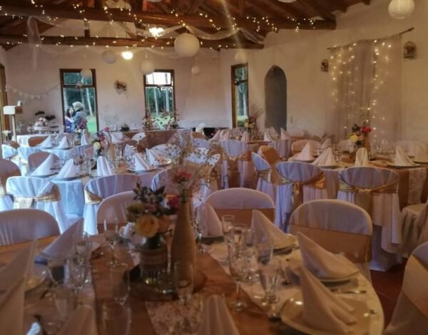 Cócteles y Eventos