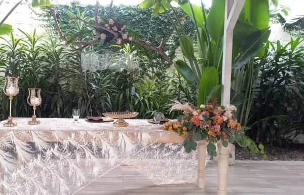 Categoría Galería clasificados anuncios