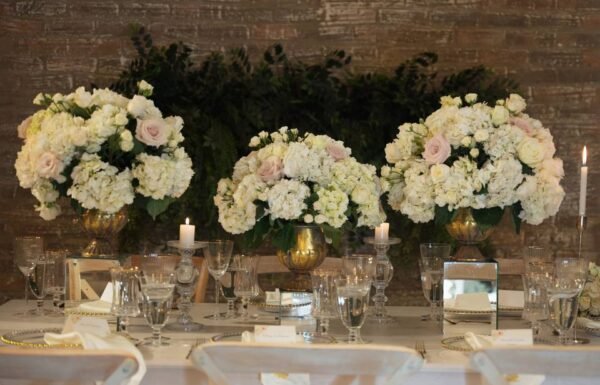 Categoría Galería clasificados Eventoco