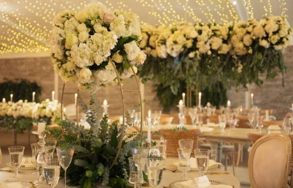 Categoría Galería clasificados Eventoco