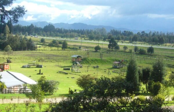 Categoría Galería clasificados Eventoco