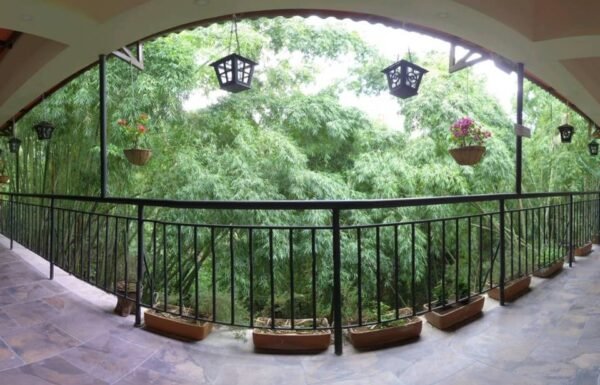 Categoría Galería clasificados anuncios