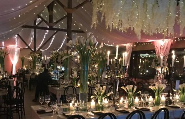 Camilo Escobar Linares Eventos