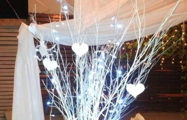 V Club Eventos
