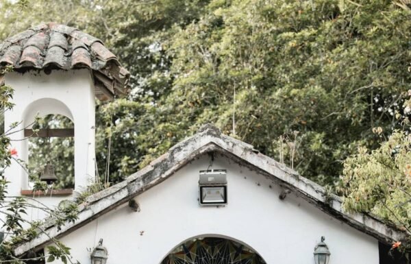 Categoría Galería clasificados Eventoco