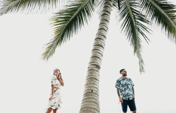 Category Vendor Gallery anuncios3