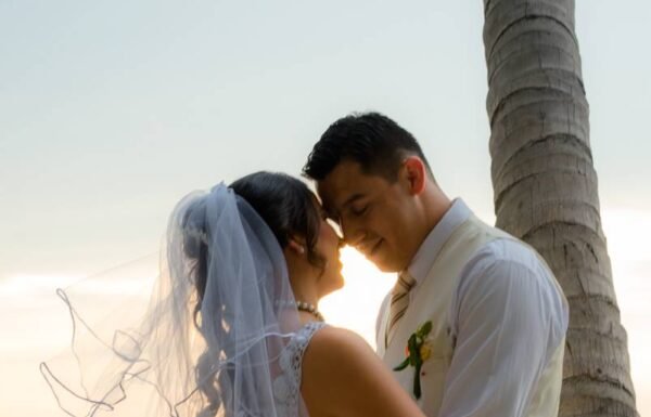 Category Vendor Gallery anuncios3