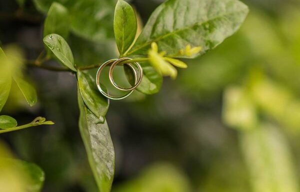 Merwyn Betancourth Wedding Photography