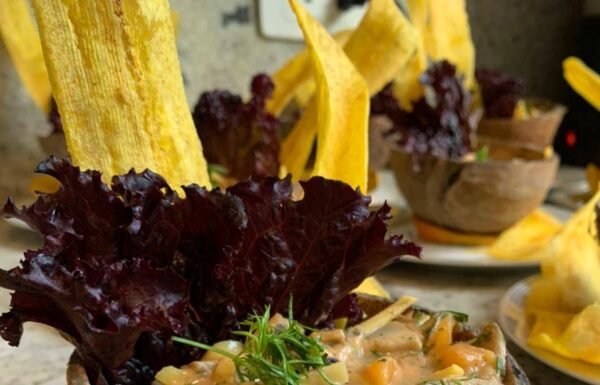 Camilo Escobar Linares Eventos