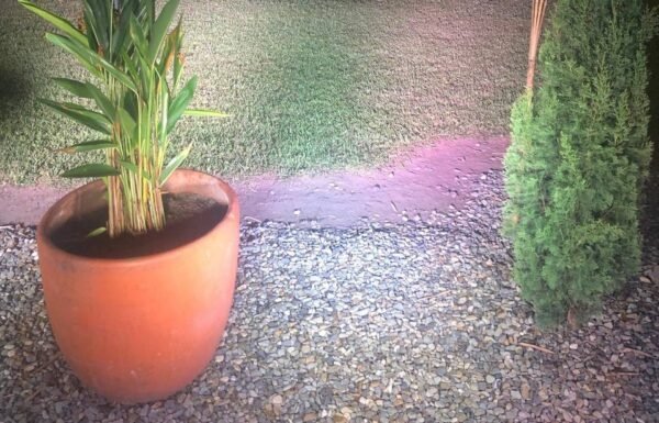 Categoría Galería clasificados anuncios