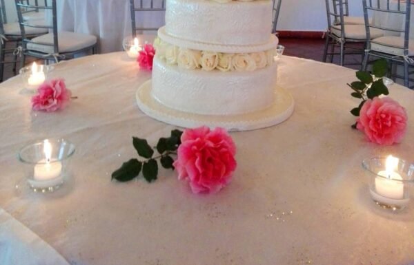 Categoría Galería clasificados Eventoco