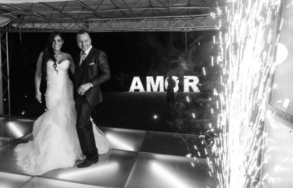 Category Vendor Gallery anuncios3