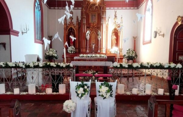 Categoría Galería clasificados Eventoco