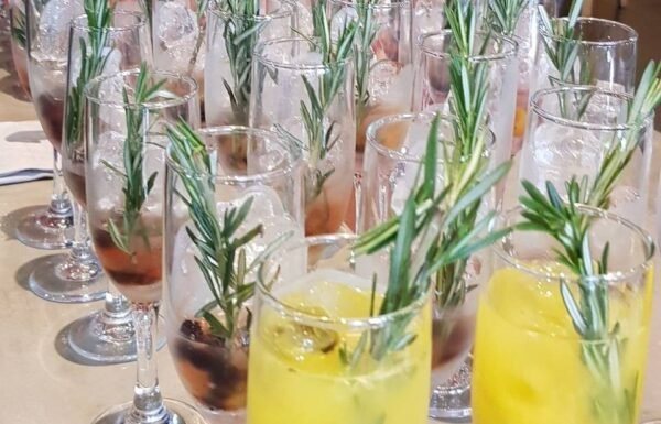 Category Vendor Gallery anuncios3