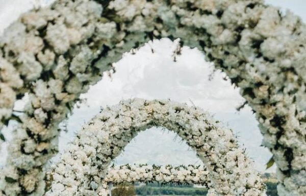 Categoría Galería clasificados anuncios