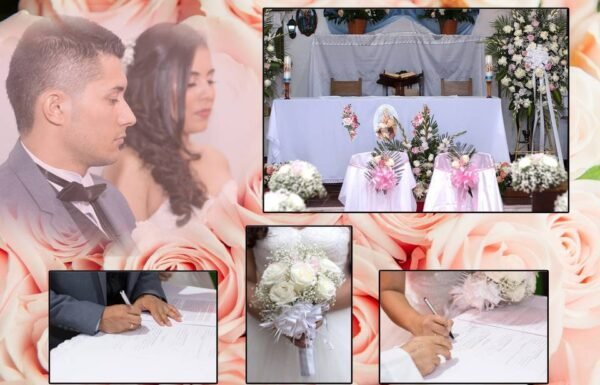 Category Vendor Gallery anuncios3