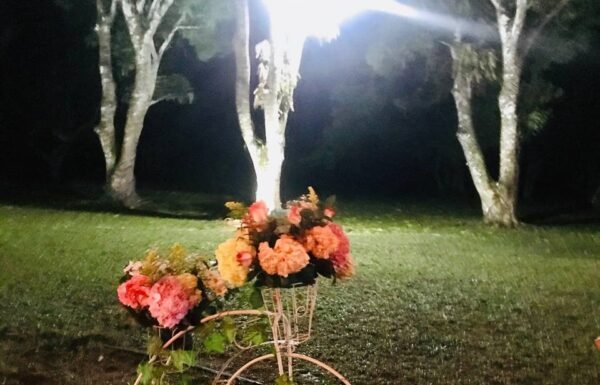 Hotel Campestre San Manuel