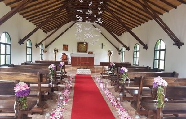 Danny Castillo Wedding Planner