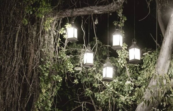 Categoría Galería clasificados Eventoco