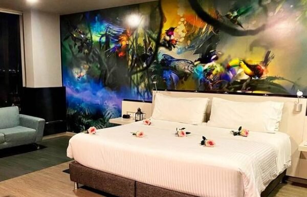 Category Vendor Gallery anuncios3