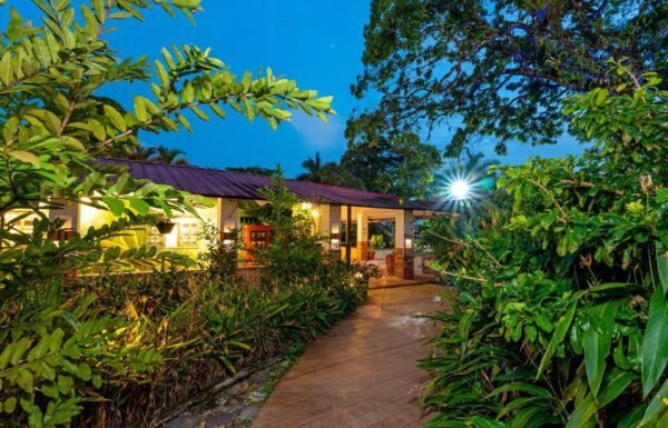 Category Vendor Gallery anuncios