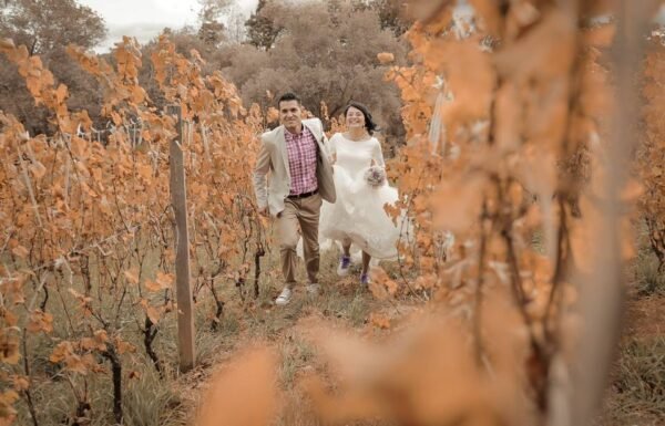 Categoría Galería clasificados anuncios3