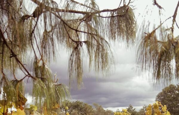 Categoría Galería clasificados anuncios3