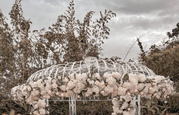 Category Vendor Gallery anuncios