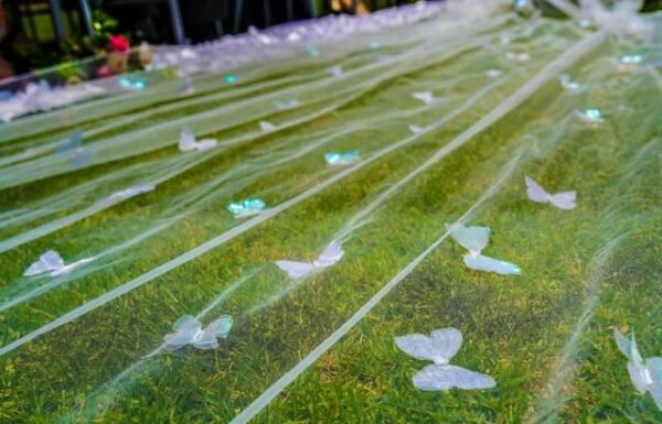 Casa De Eventos Ana Maria Sierra