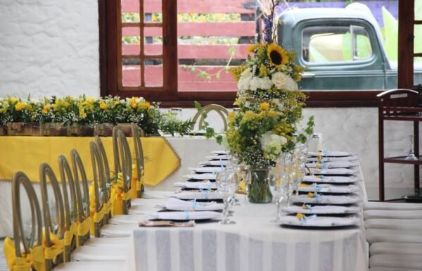 Categoría Galería clasificados Eventoco