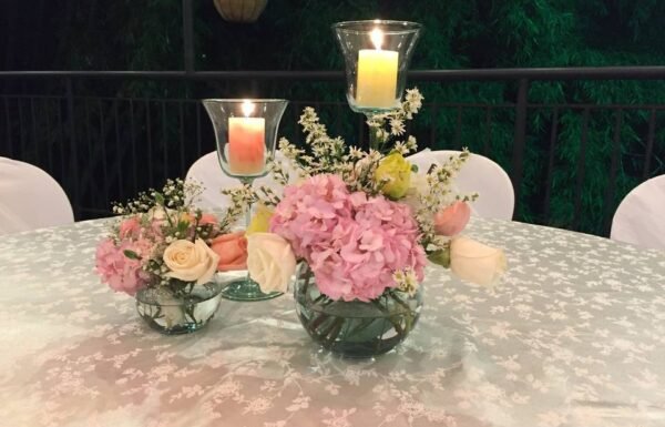 Categoría Galería clasificados anuncios