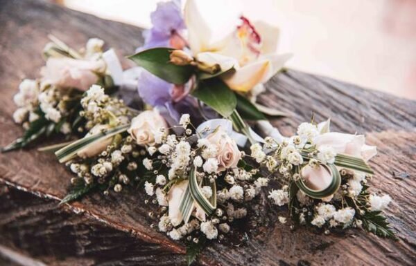 Hacienda El Trebolito