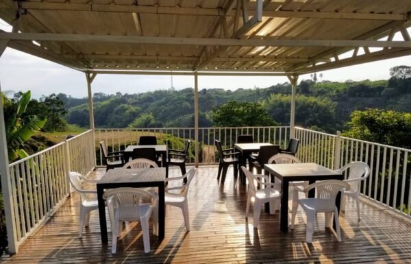 Categoría Galería clasificados anuncios