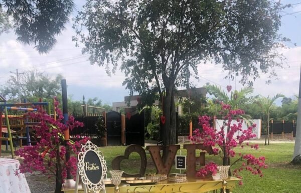 Categoría Galería clasificados anuncios