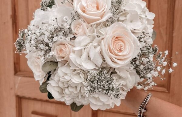 Category Vendor Gallery anuncios