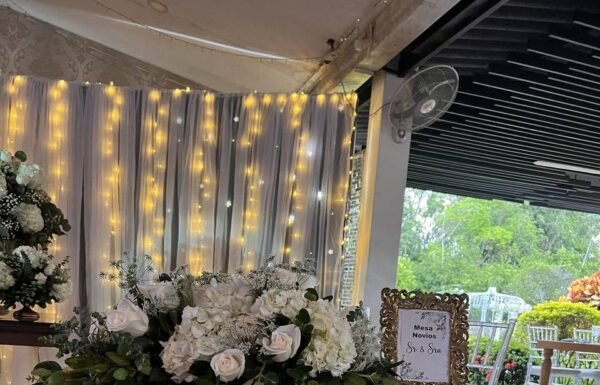 Category Vendor Gallery anuncios