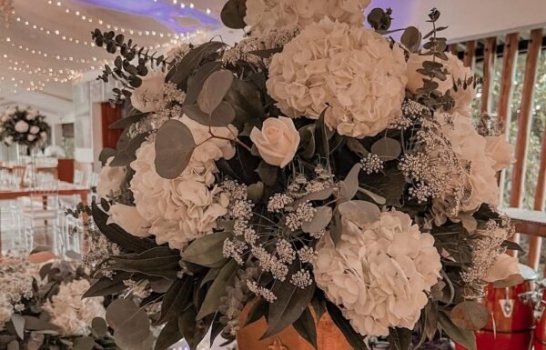 Category Vendor Gallery anuncios