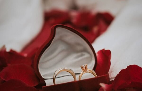 Category Vendor Gallery anuncios3