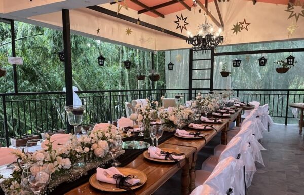 Categoría Galería clasificados anuncios