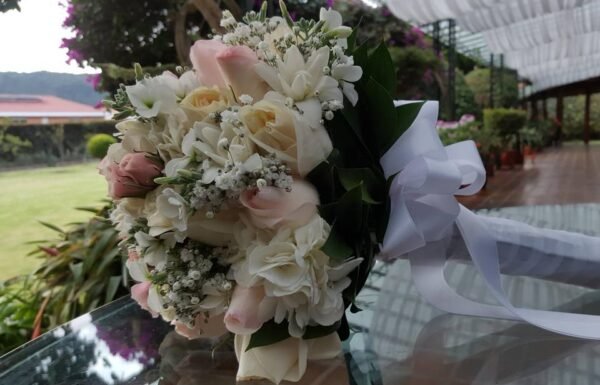 Hacienda El Trebolito