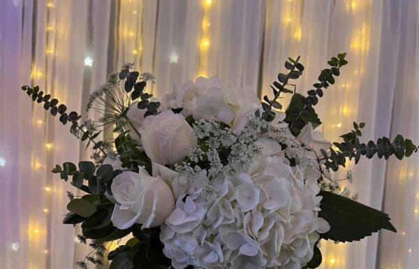 Category Vendor Gallery anuncios