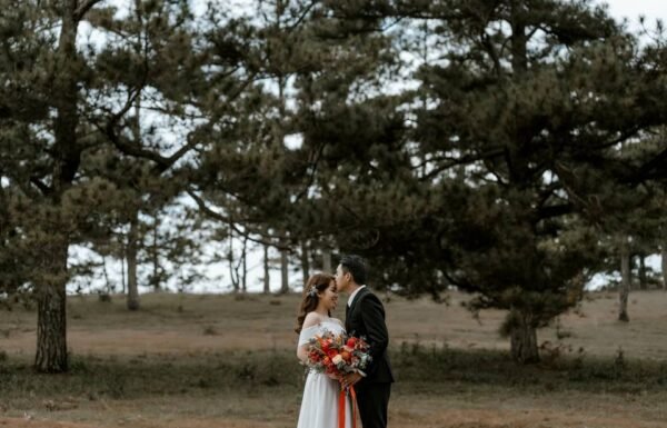 Category Vendor Gallery anuncios3