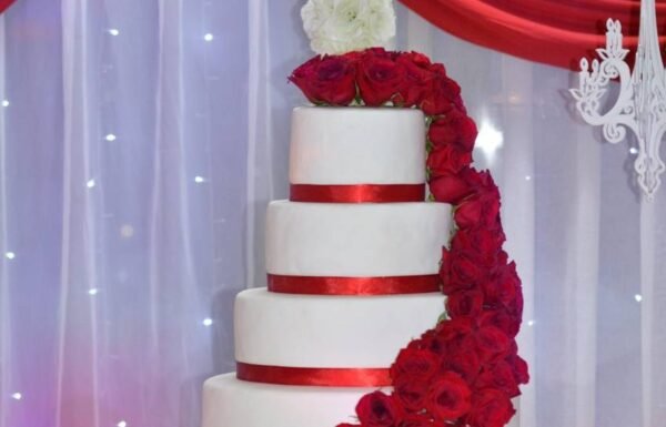 Categoría Galería clasificados anuncios