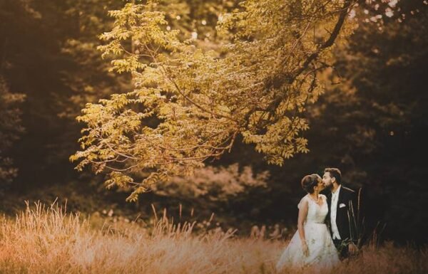 Category Vendor Gallery anuncios3