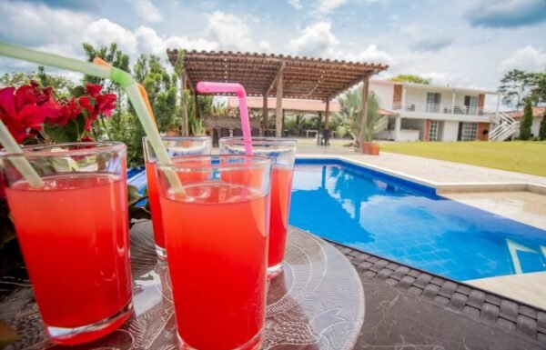 Categoría Galería clasificados anuncios