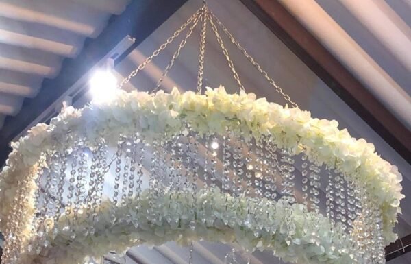 Categoría Galería clasificados anuncios