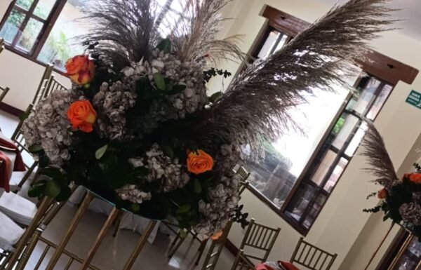 Bodas y Alquileres